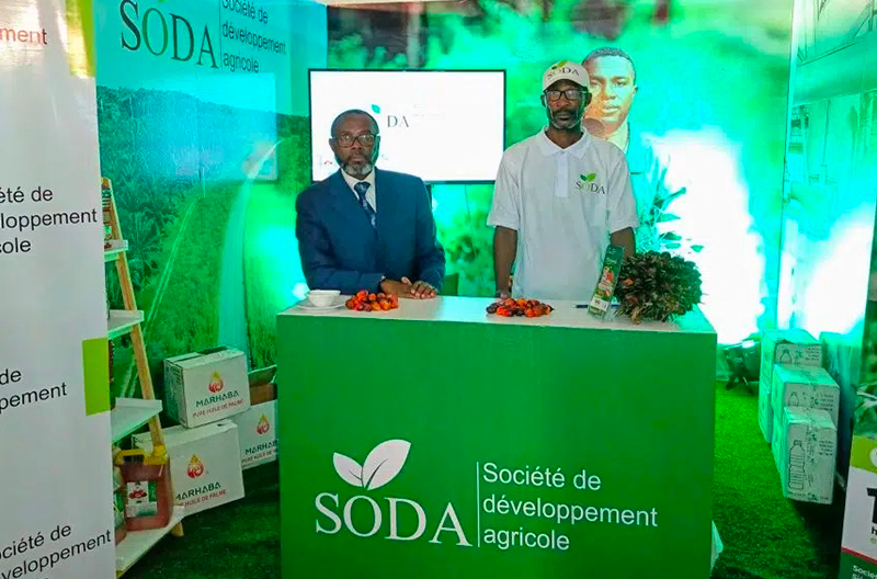 Leverage agile frameworks to provide