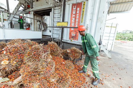 Trésor Nutritionnel